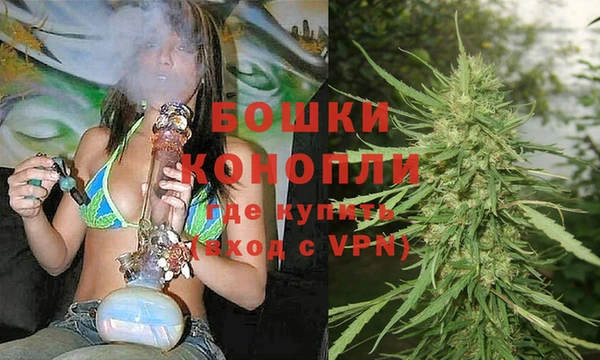 ECSTASY Ладушкин