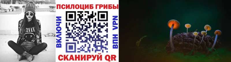 Галлюциногенные грибы Magic Shrooms  Благодарный 
