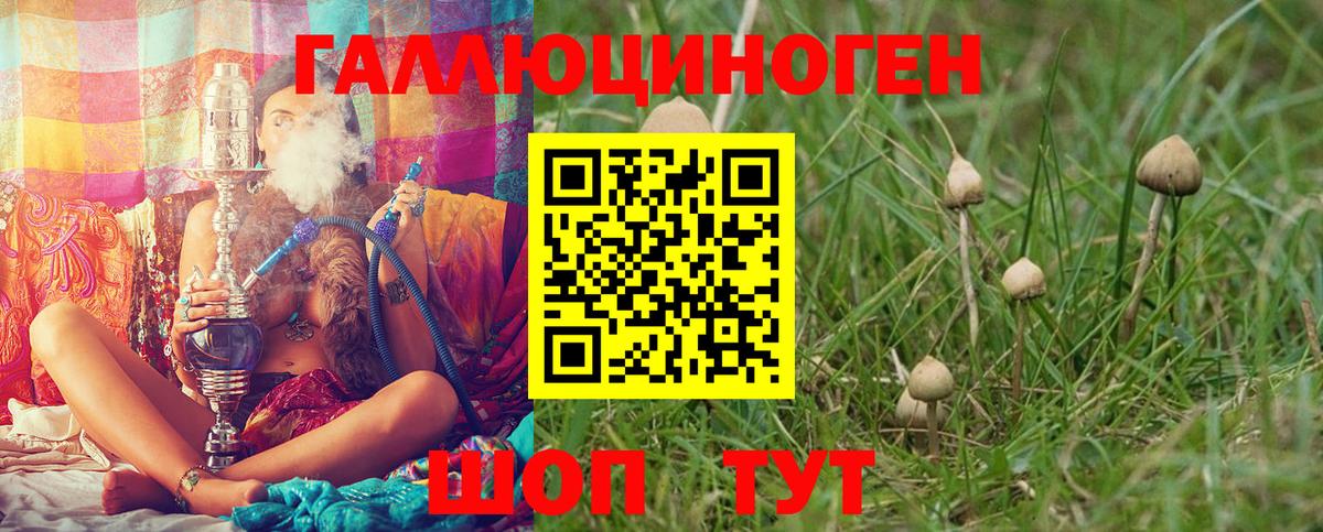 Псилоцибиновые грибы Psilocybe  Благодарный 